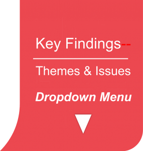 Key Findings (Themes & Issues) -- dropdown menu